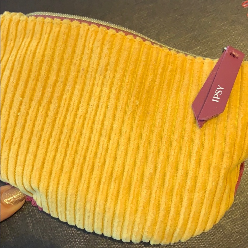 Get this IPSY makeup bag at no charge!